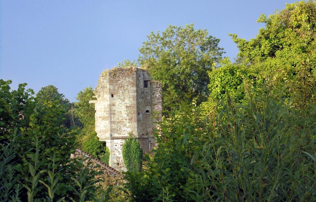Chateau De La Chasse-Guerre Bed & Breakfast Hardanges Luaran gambar