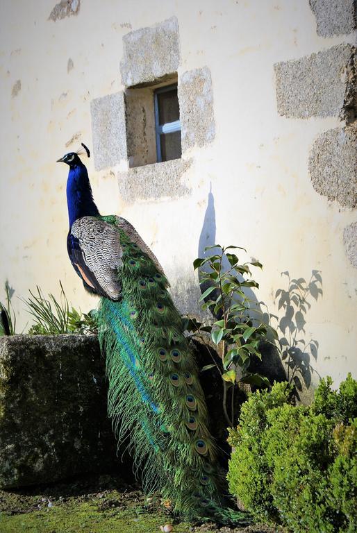 Chateau De La Chasse-Guerre Bed & Breakfast Hardanges Luaran gambar