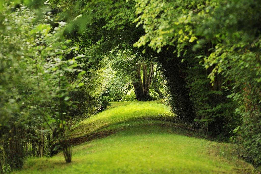 Chateau De La Chasse-Guerre Bed & Breakfast Hardanges Luaran gambar